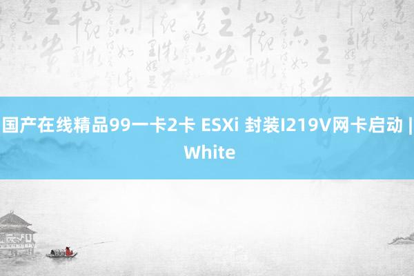 国产在线精品99一卡2卡 ESXi 封装I219V网卡启动 | White